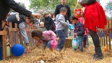 Chasse aux œufs